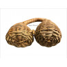 African Bamileke Music Instrument "Chanchan"