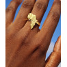 Small ring Africa